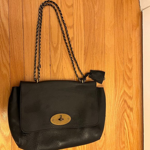 Mulberry Lily Bag (Medium Size) - Picture 1 of 16